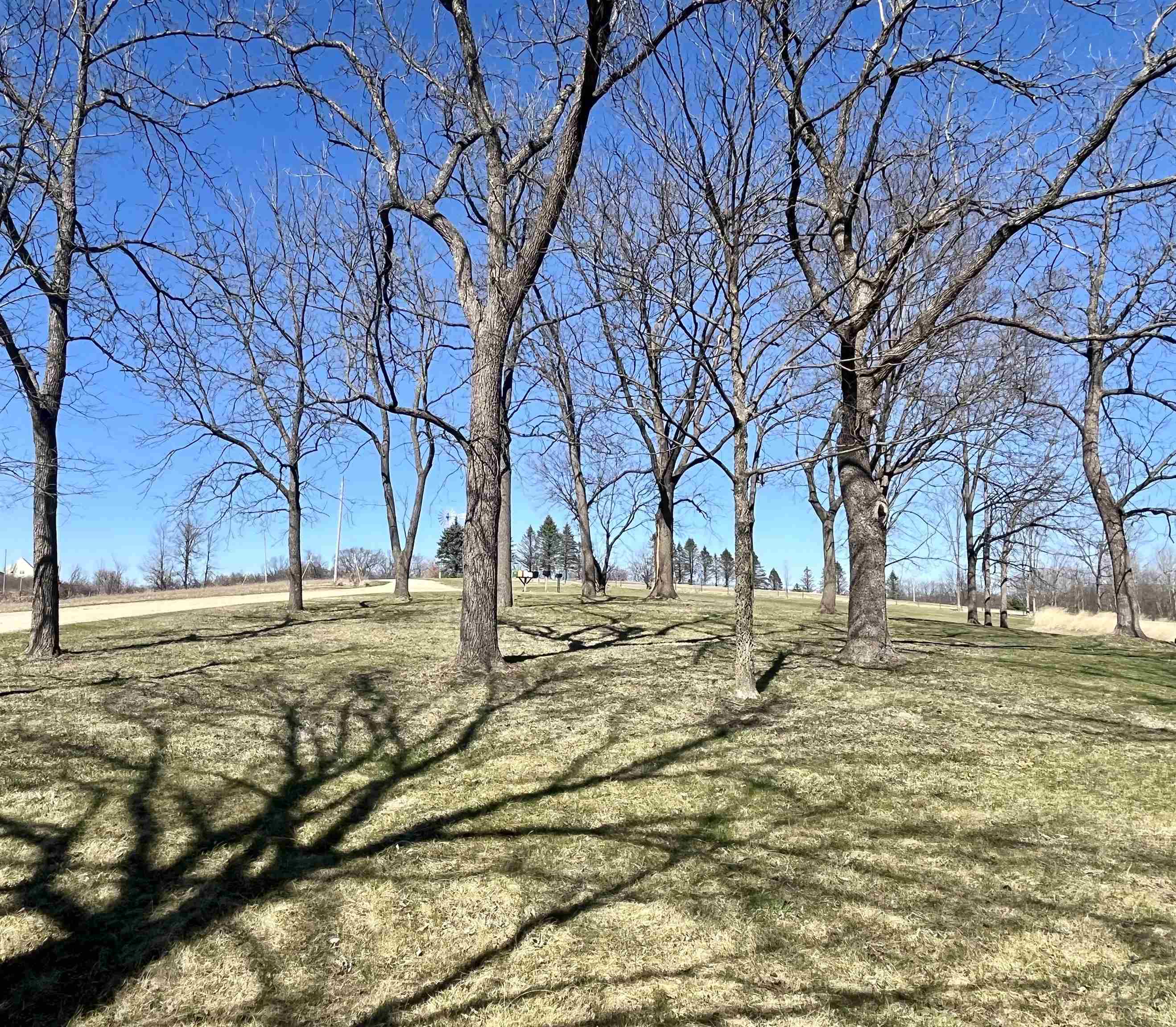 33453 Jeidy Hill Road Wauzeka, WI 53826 - Photo 19 of 53