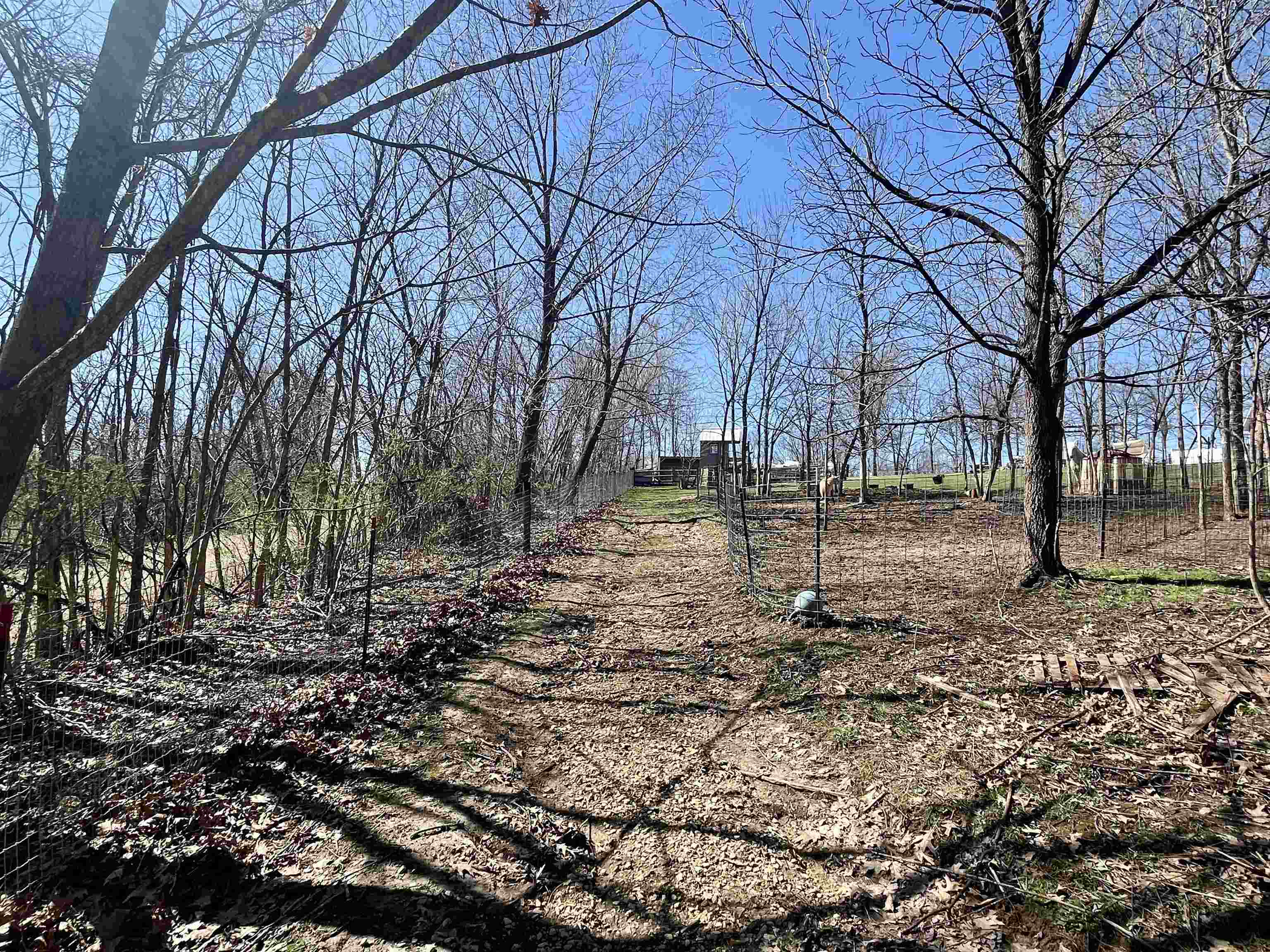 33453 Jeidy Hill Road Wauzeka, WI 53826 - Photo 21 of 53
