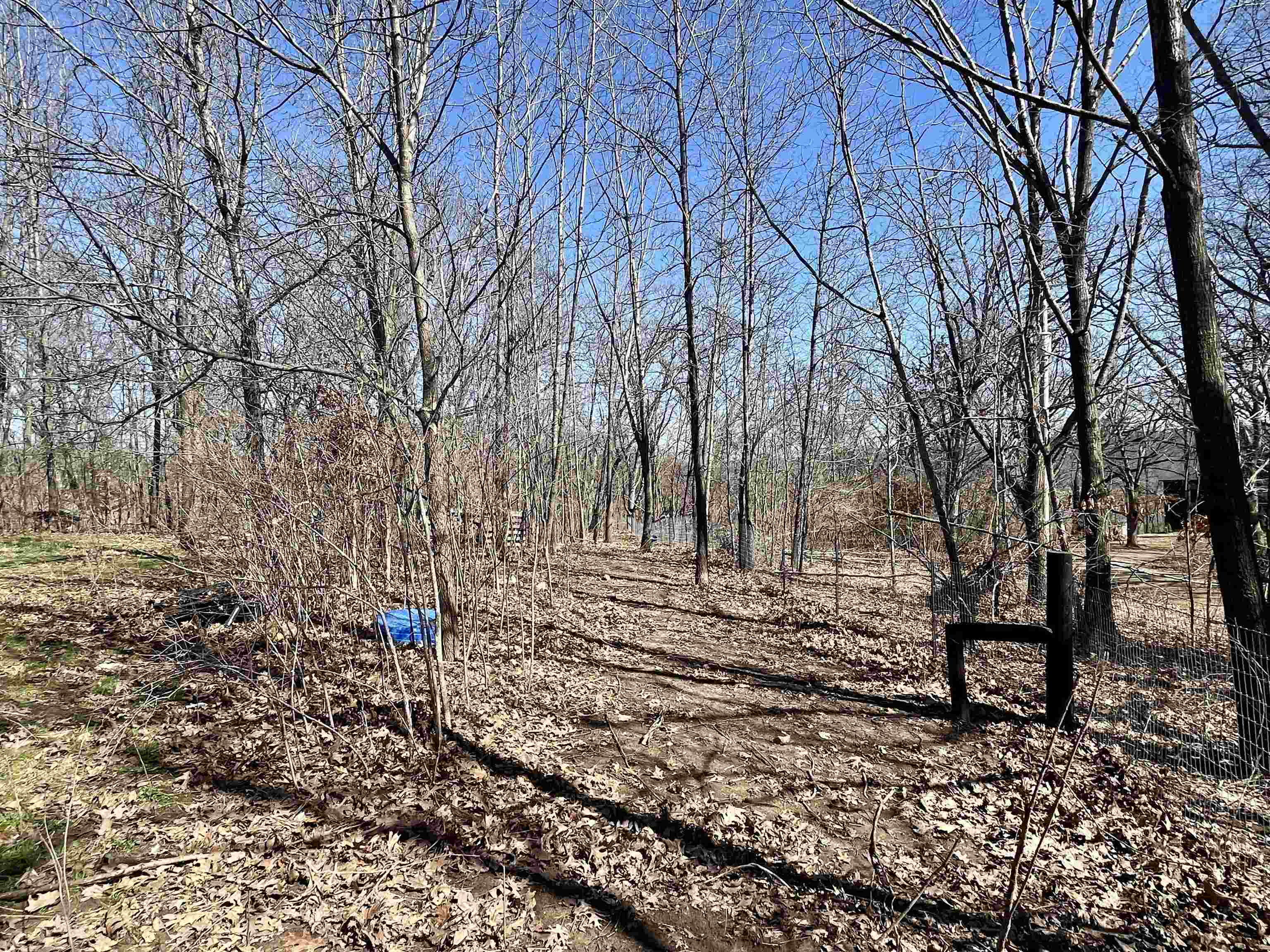 33453 Jeidy Hill Road Wauzeka, WI 53826 - Photo 22 of 53