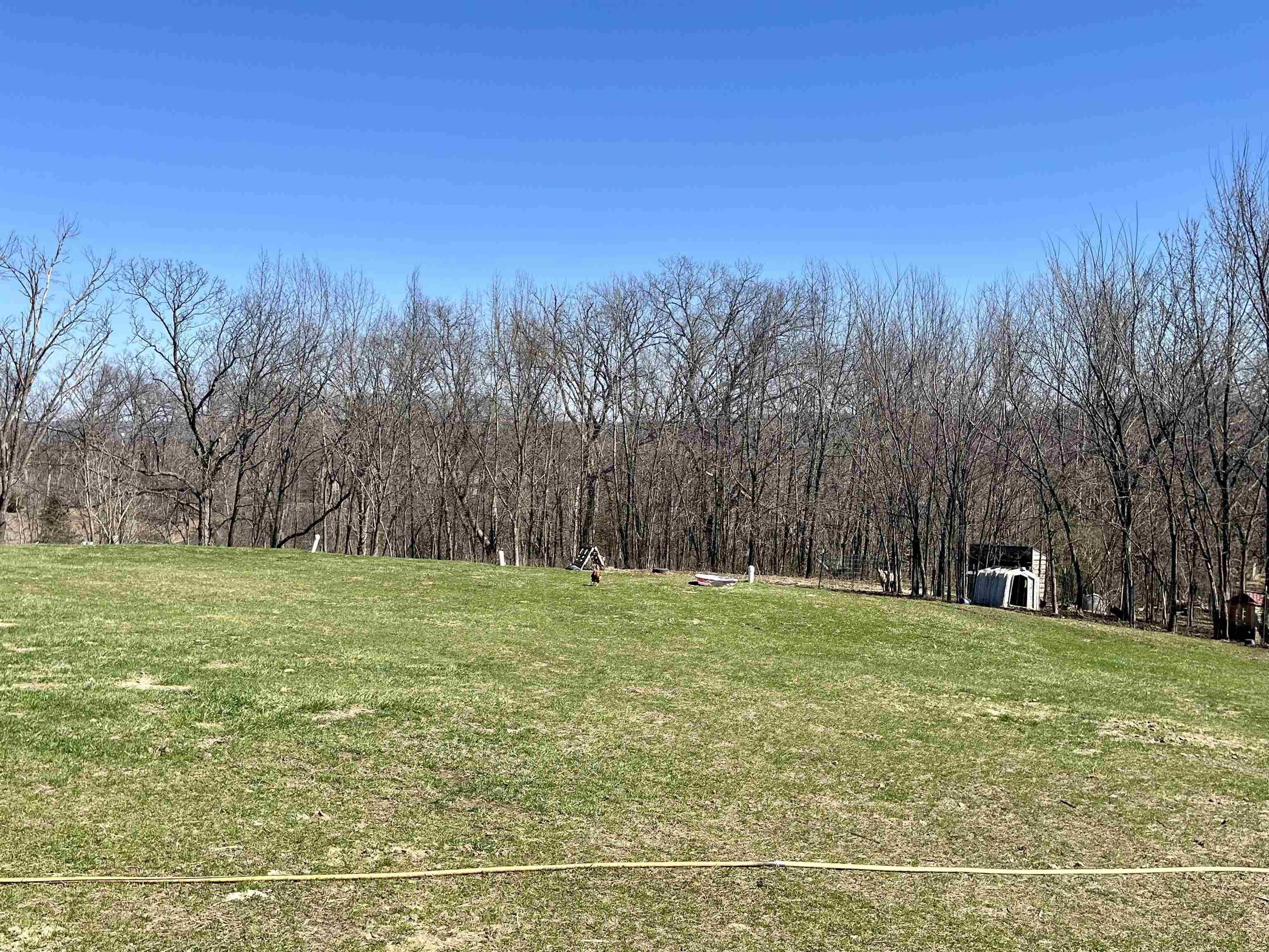 33453 Jeidy Hill Road Wauzeka, WI 53826 - Photo 25 of 53