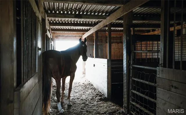 $610,000 | 385 Woods Farm Road, Sullivan, MO 63080