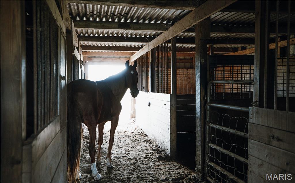 385 Woods Farm Road Sullivan, MO 63080 - Photo 56 of 60