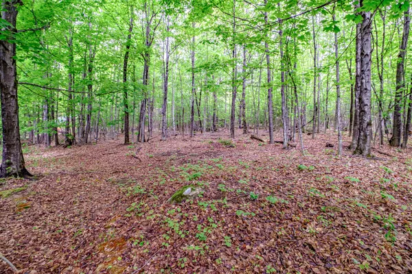 $825,000 | 217 Fire Ln 26, Brownfield, ME 04010