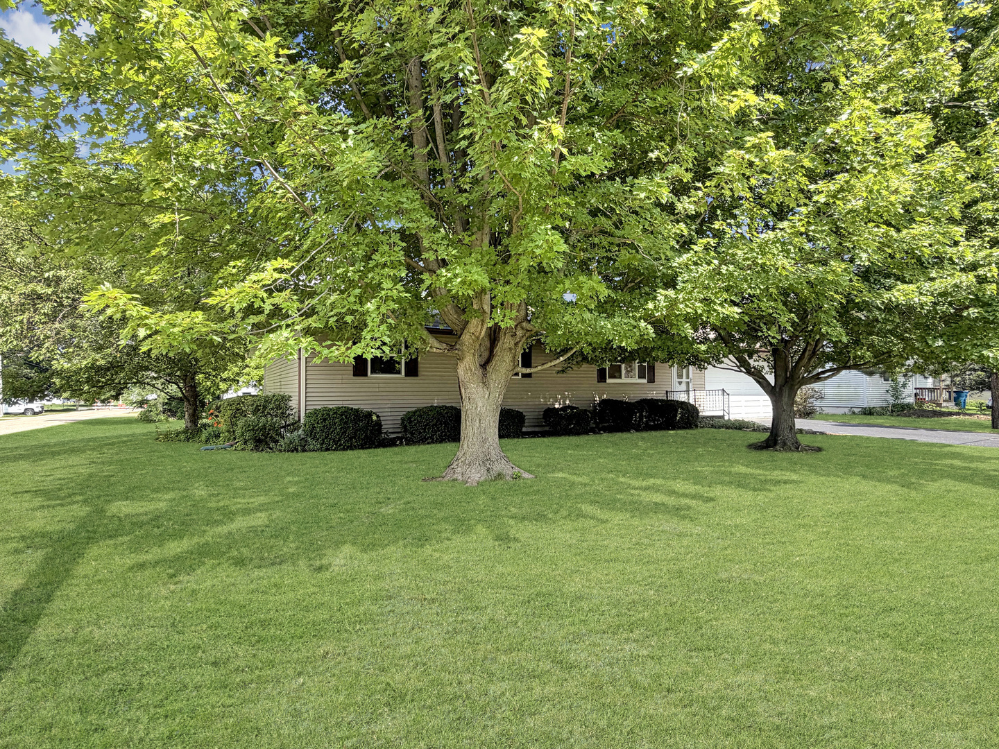 309 Maple Avenue Forreston, IL 61030 - Photo 26 of 27