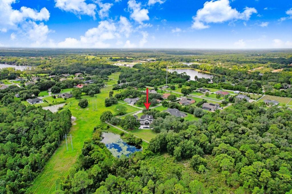 7705 Rosa Maria Lane Odessa, FL 33556 - Photo 86 of 91 Gallery Image 86
