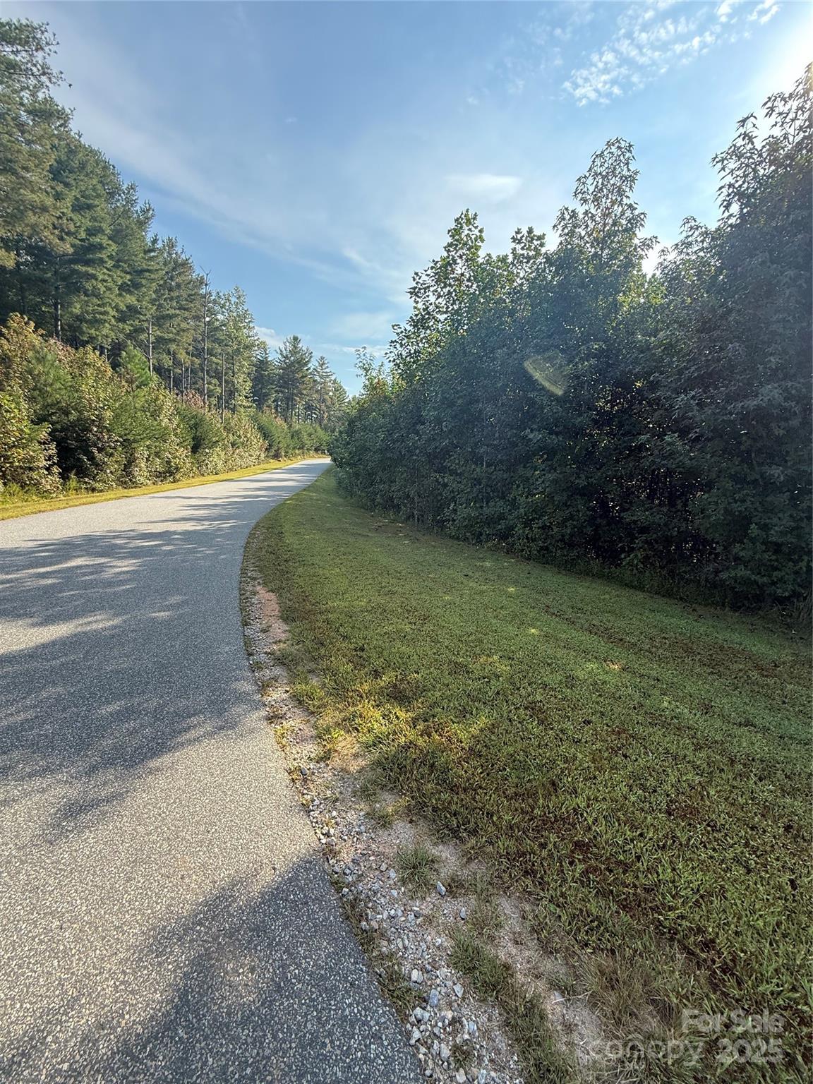 9999 Peninsula Reserve Road Nebo, NC 28761 - Photo 3 of 3 a view of a back yard of the house