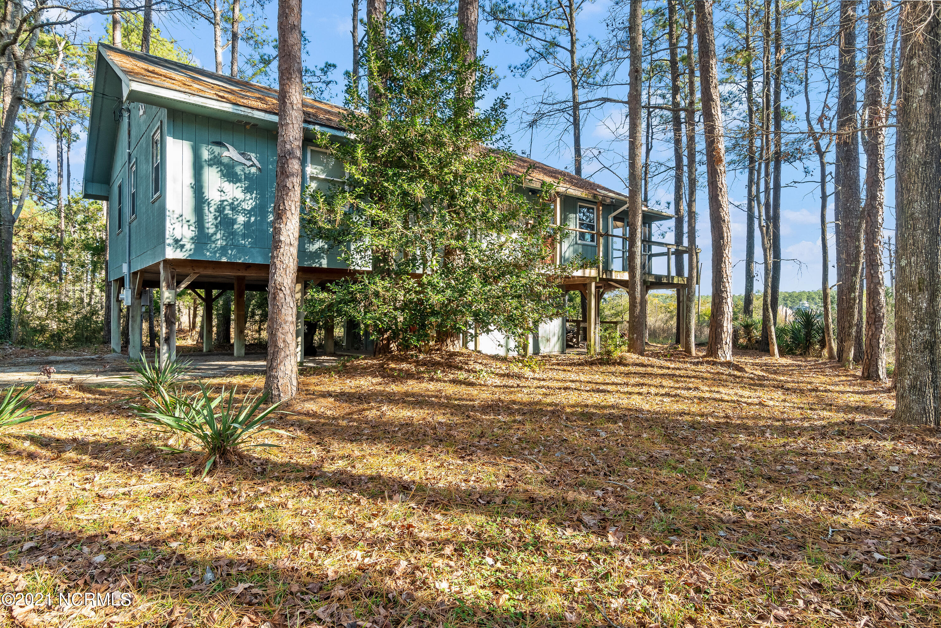 89 Holton Point Road Vandemere, NC 28587 - Photo 18 of 22 Chill Photo_-30
