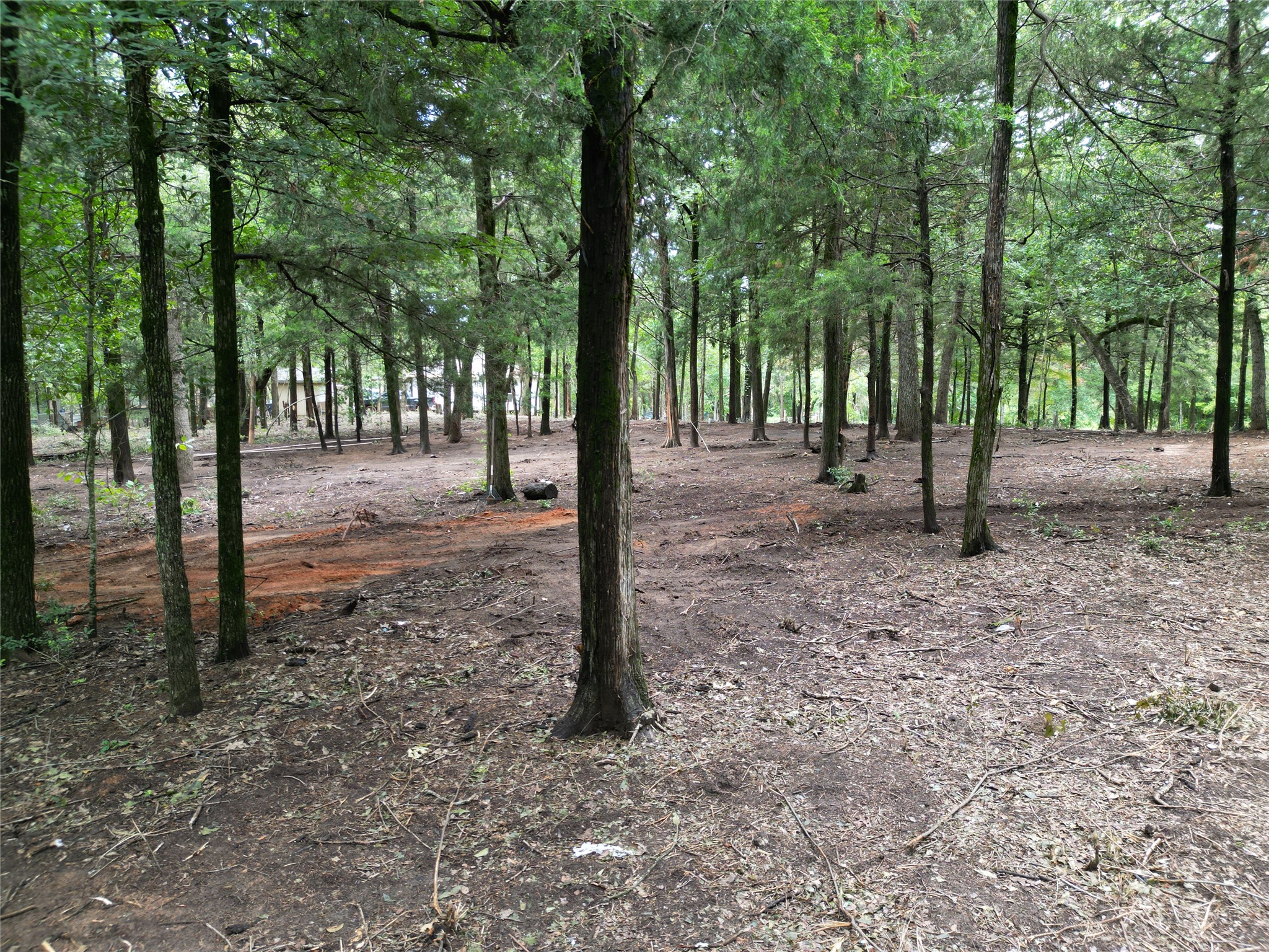 891 Cedar Creek Road Caldwell, TX 77836 - Photo 11 of 18 a view of outdoor space with lots of trees