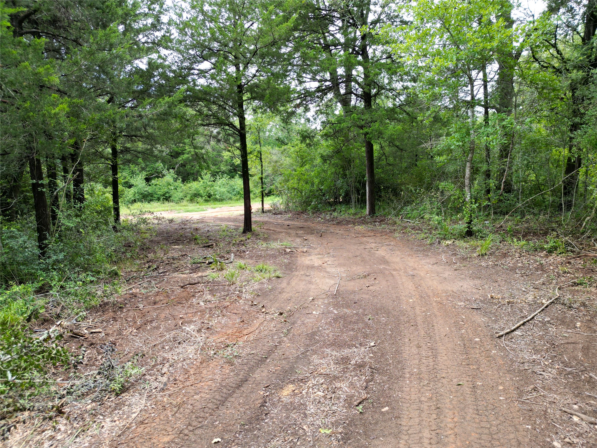 891 Cedar Creek Road Caldwell, TX 77836 - Photo 4 of 18 a view of a yard with trees
