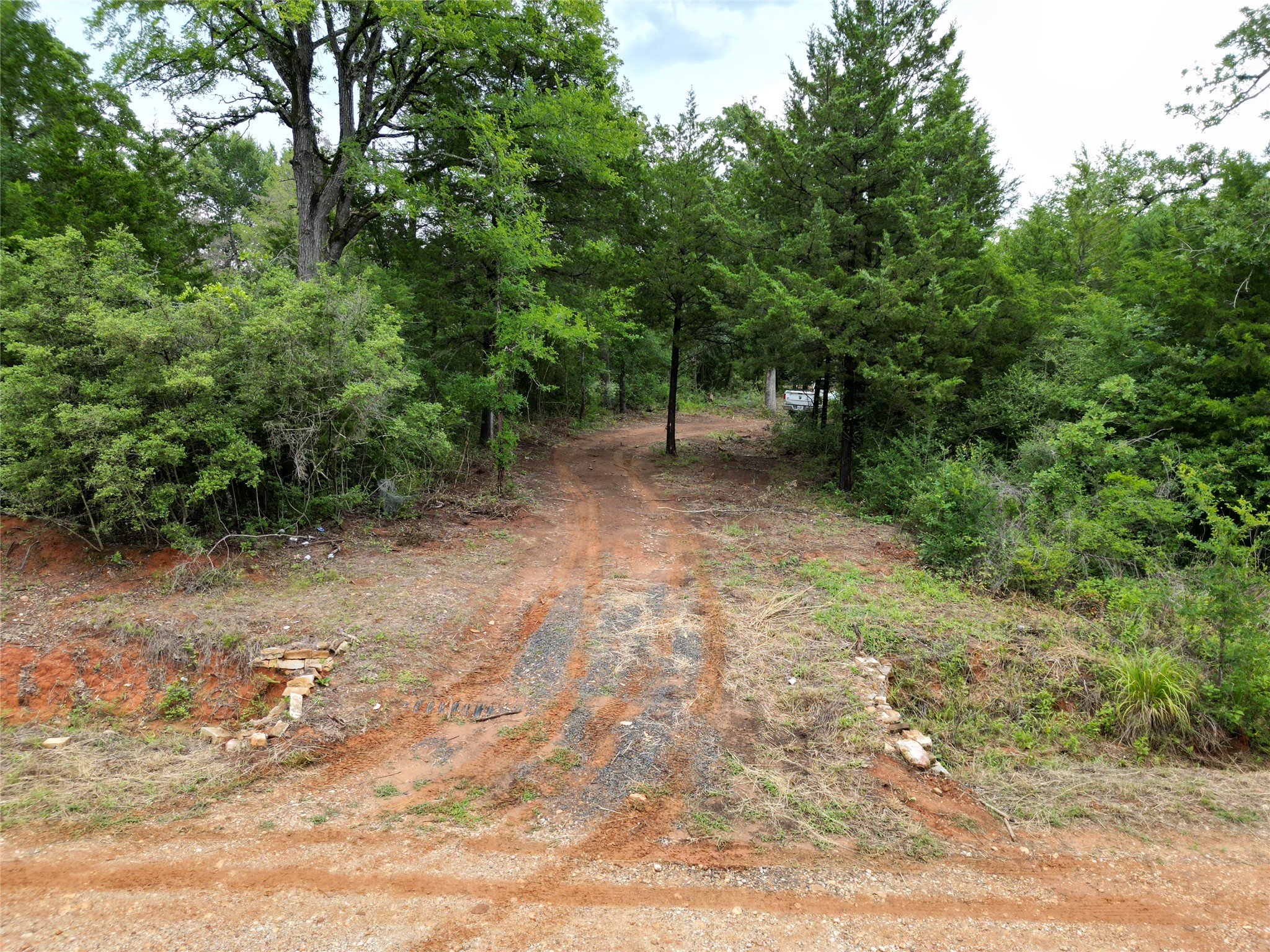 891 Cedar Creek Road Caldwell, TX 77836 - Photo 5 of 18 a view of a forest with trees in the background
