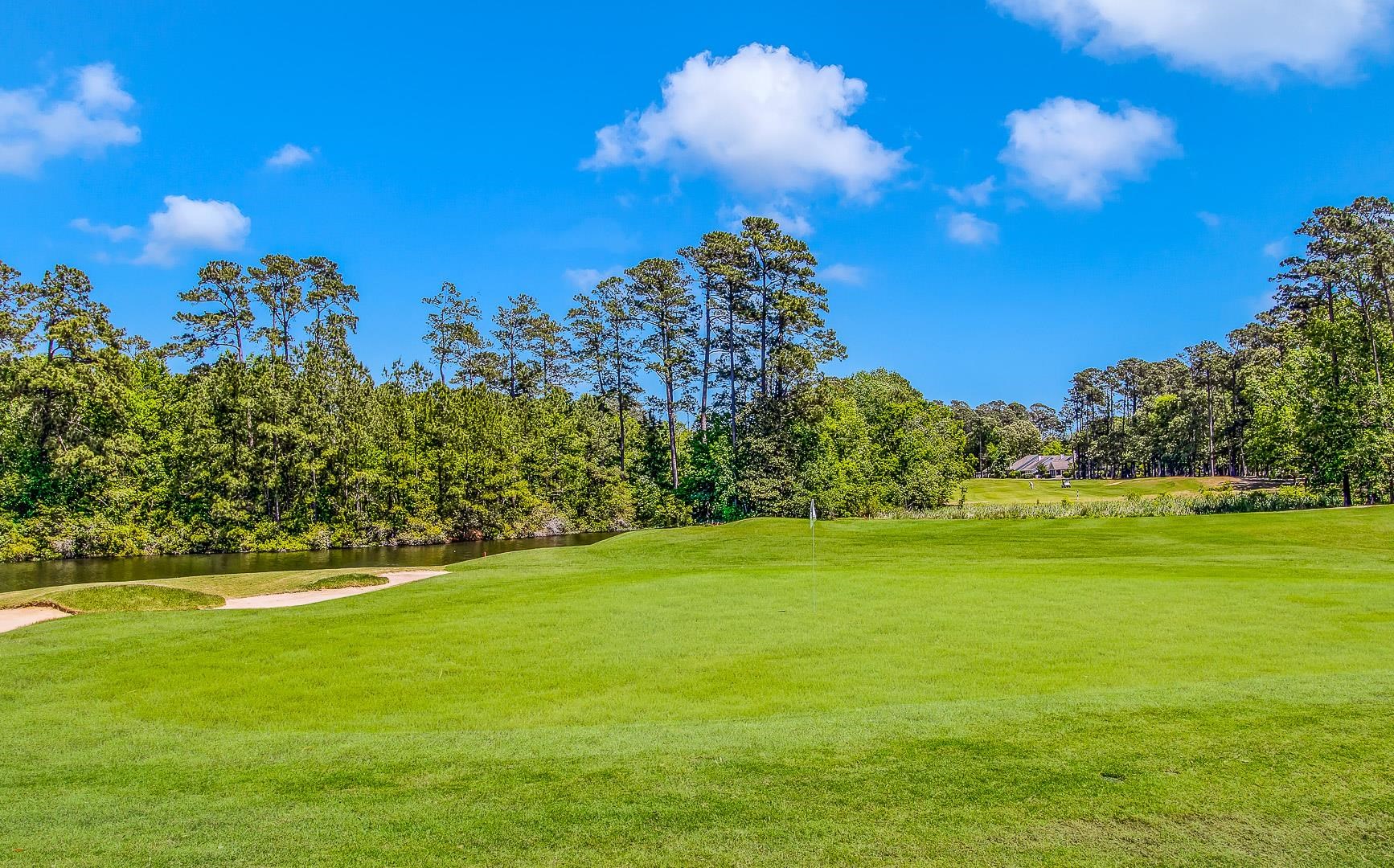 4507 Firethorne Drive Murrells Inlet, SC 29576 - Photo 12 of 18