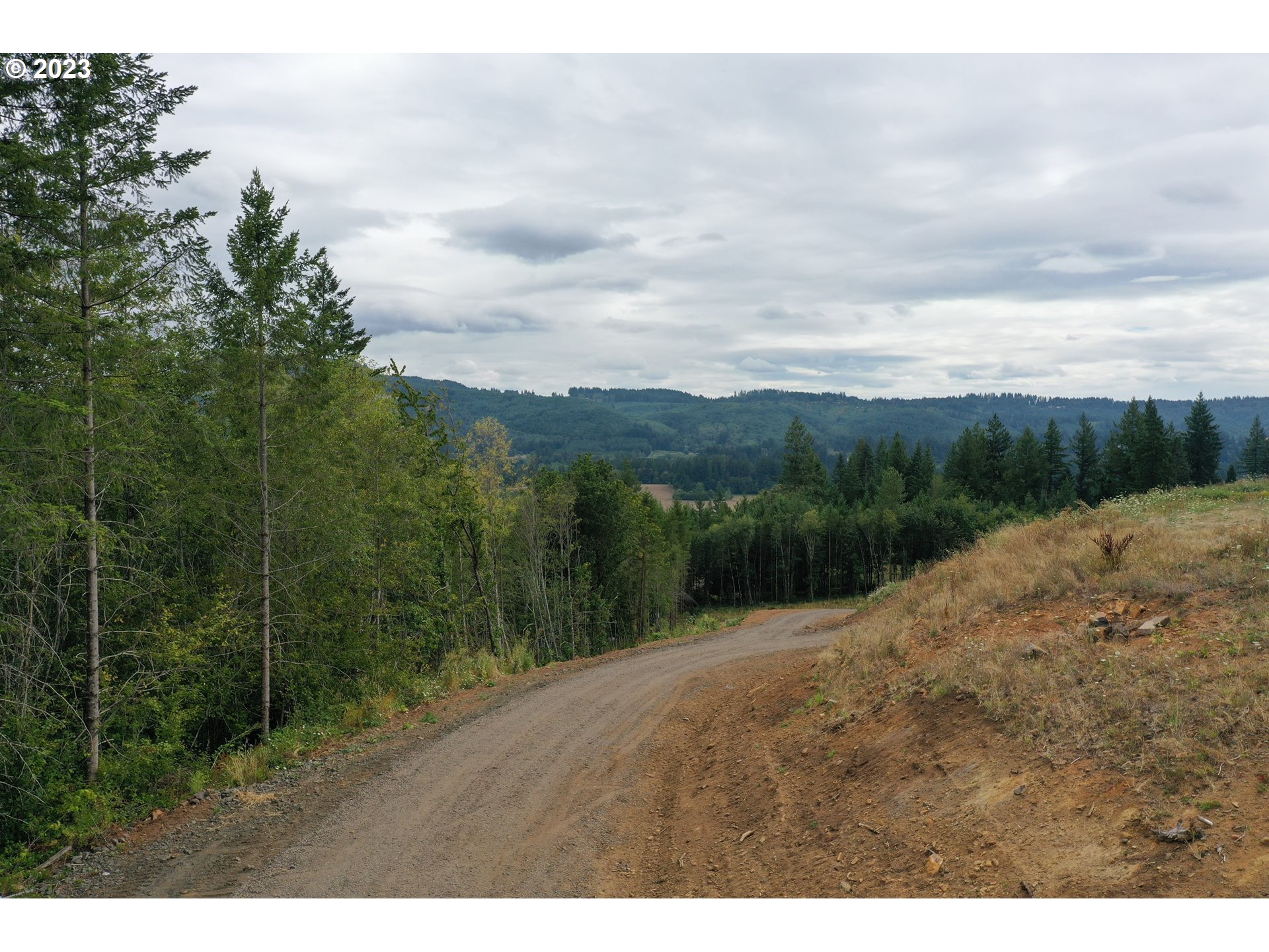 2 Fredrickson Road Woodland, WA 98674 - Photo 16 of 29 Gallery Image 16