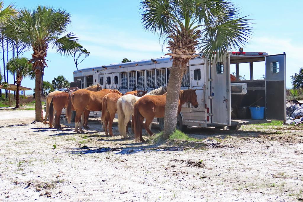 12 Country Club Road Port St. Joe, FL 32456 - Photo 13 of 16