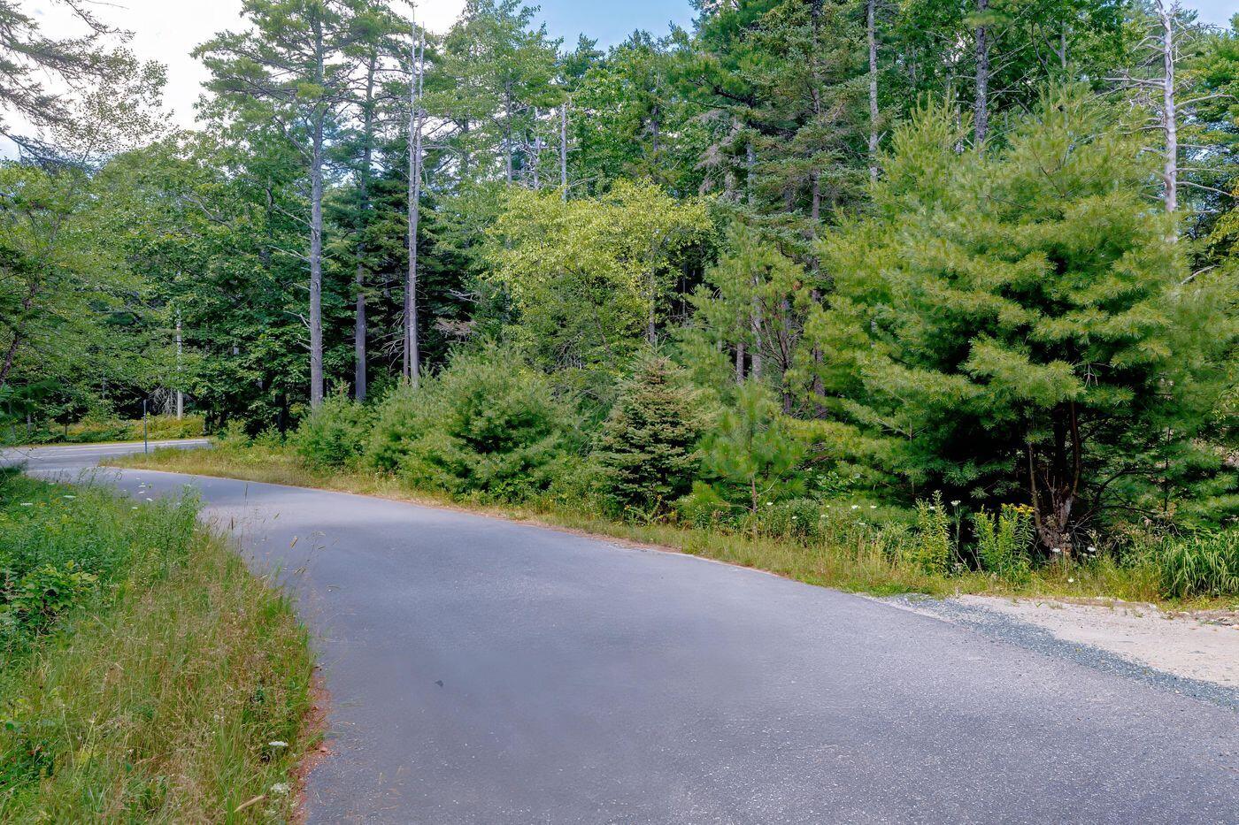 Lot 39-1 Sargent Brook Rd Mount Mount Desert, ME 04660 - Photo 7 of 7 W8-ME2884_7