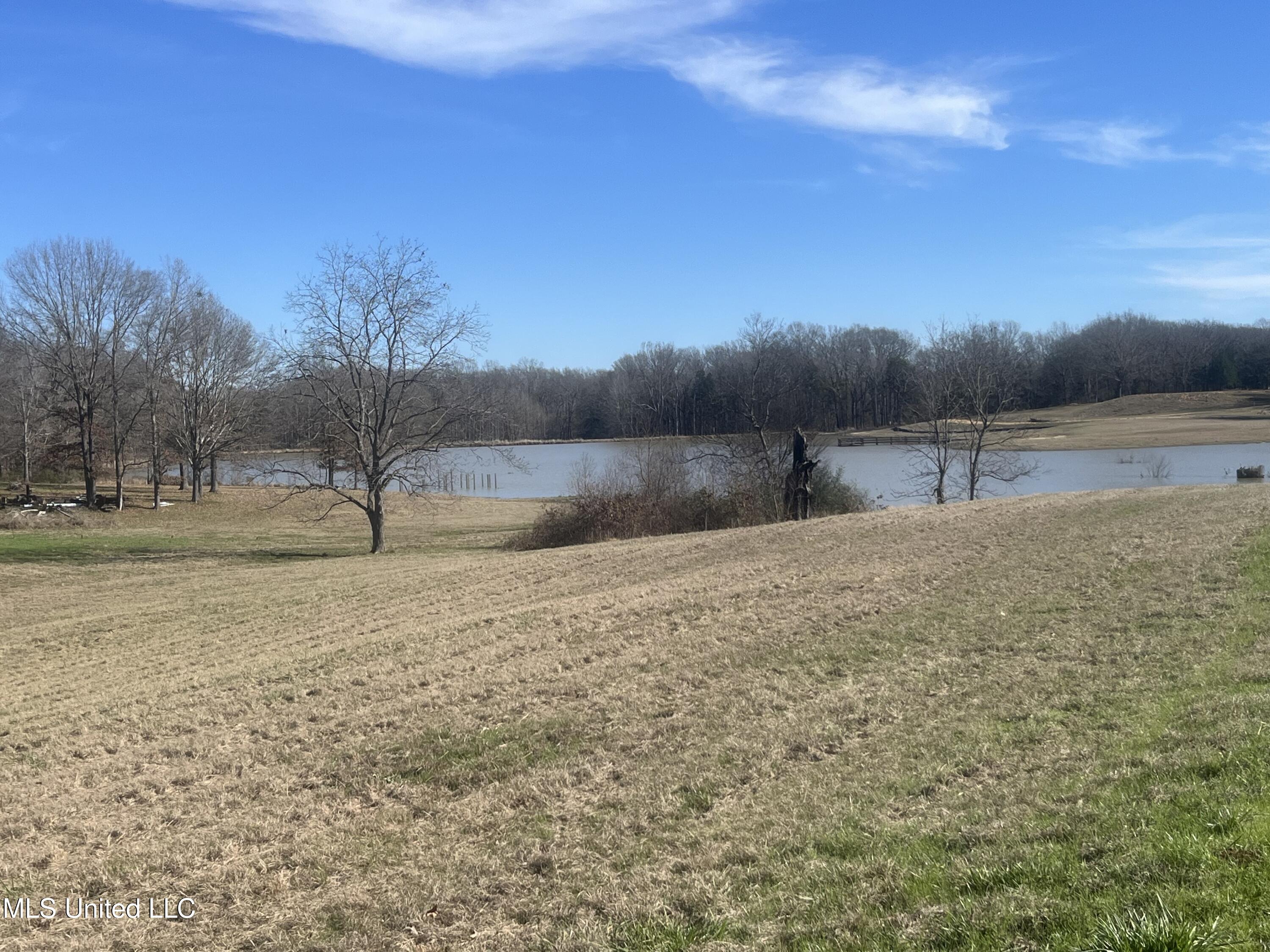 1029 North Ratliff Road Jackson, MS 39209 - Photo 2 of 6 1029 N Ratliff 5