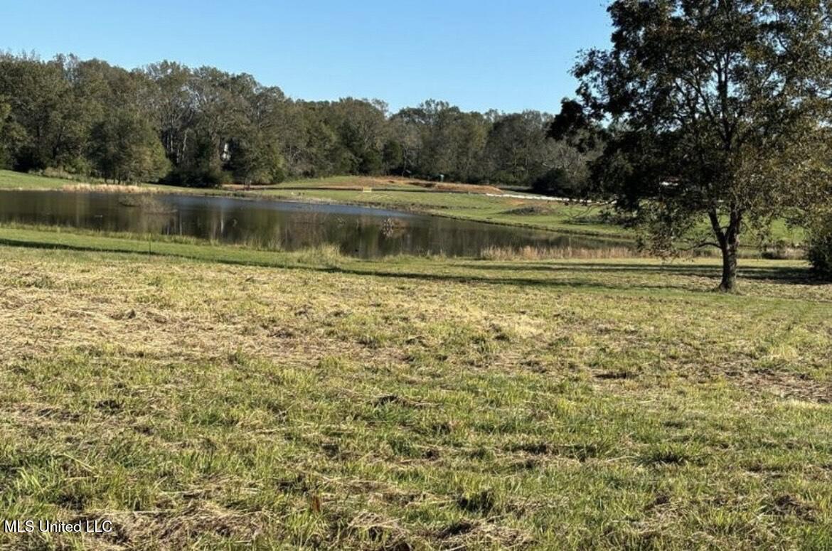 1029 North Ratliff Road Jackson, MS 39209 - Photo 3 of 6 1029 N Ratliff 2