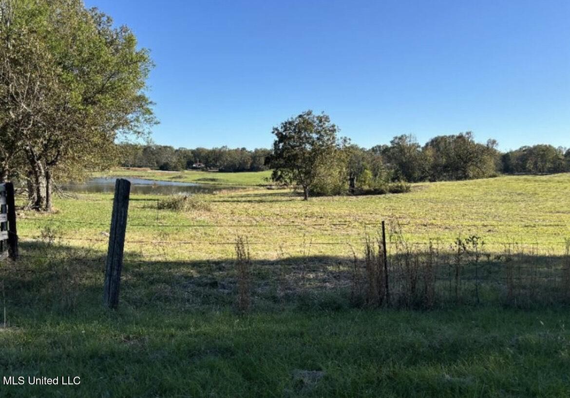 1029 North Ratliff Road Jackson, MS 39209 - Photo 4 of 6 1029 N Ratliff 3
