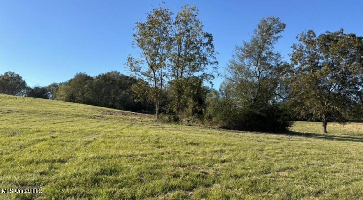 1029 North Ratliff Road Jackson, MS 39209 - Photo 6 of 6 1029 N Ratliff 5