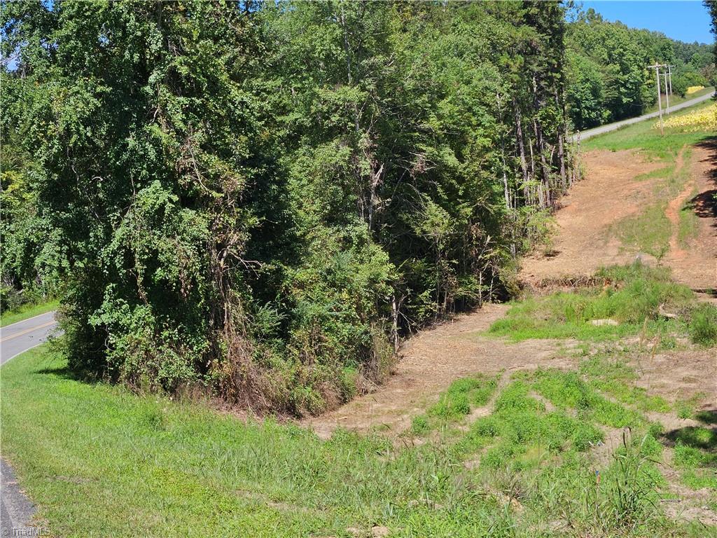 0 Old Mill Road, Unit 10B Pinnacle, NC 27043 - Photo 3 of 5