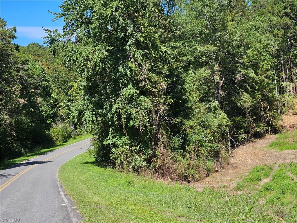 0 Old Mill Road, Unit 10B Pinnacle, NC 27043 - Photo 4 of 5