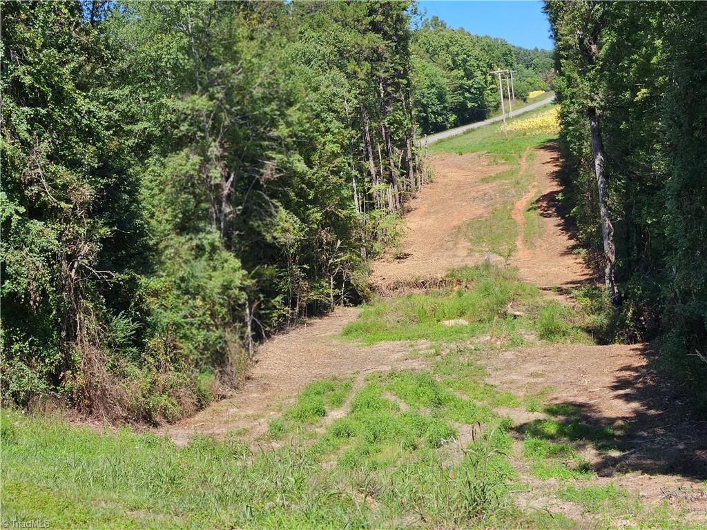 0 Old Mill Road, Unit 10B Pinnacle, NC 27043 - Photo 5 of 5