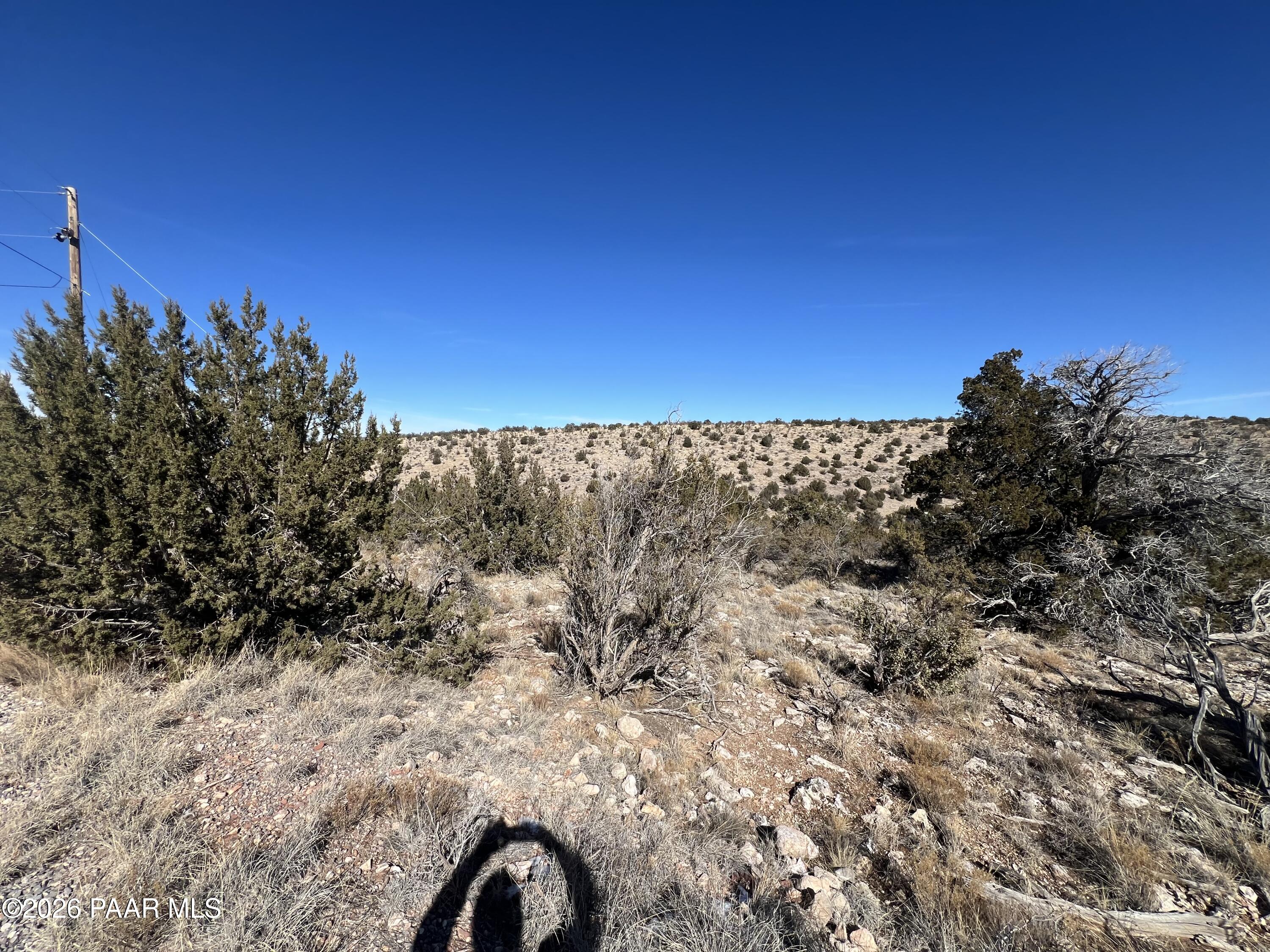 29740 Rock Ridge Road Seligman, AZ 86337 - Photo 4 of 5 a view of a yard