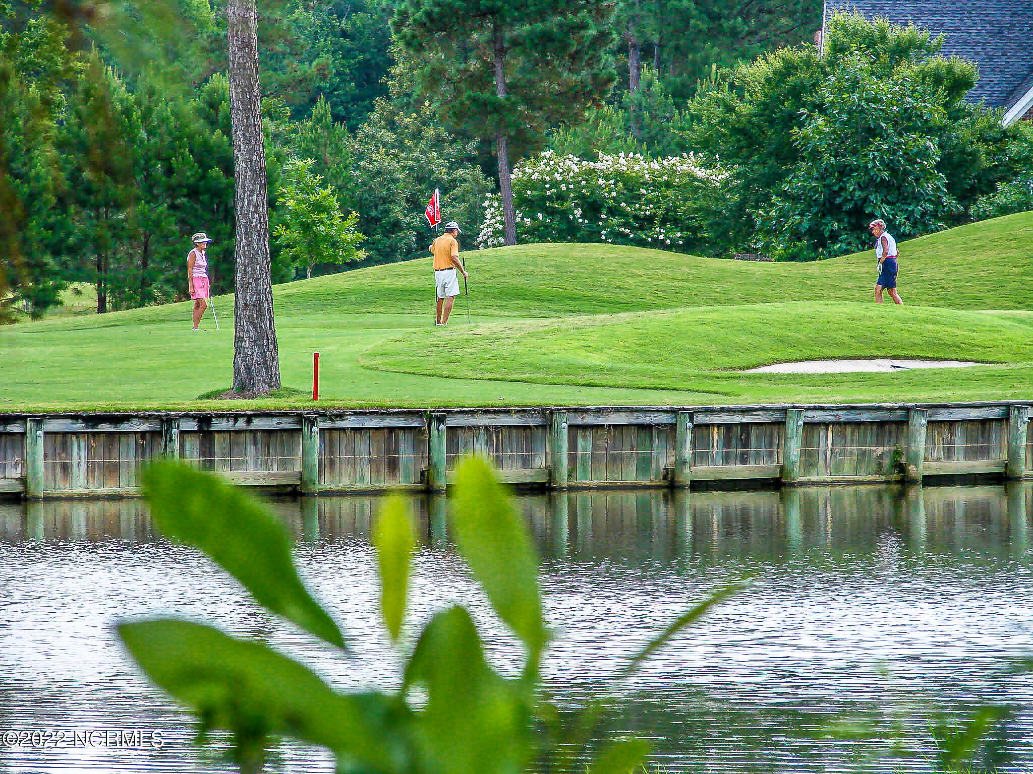 259 Red Fox Run Drive Wallace, NC 28466 - Photo 2 of 6 land 5
