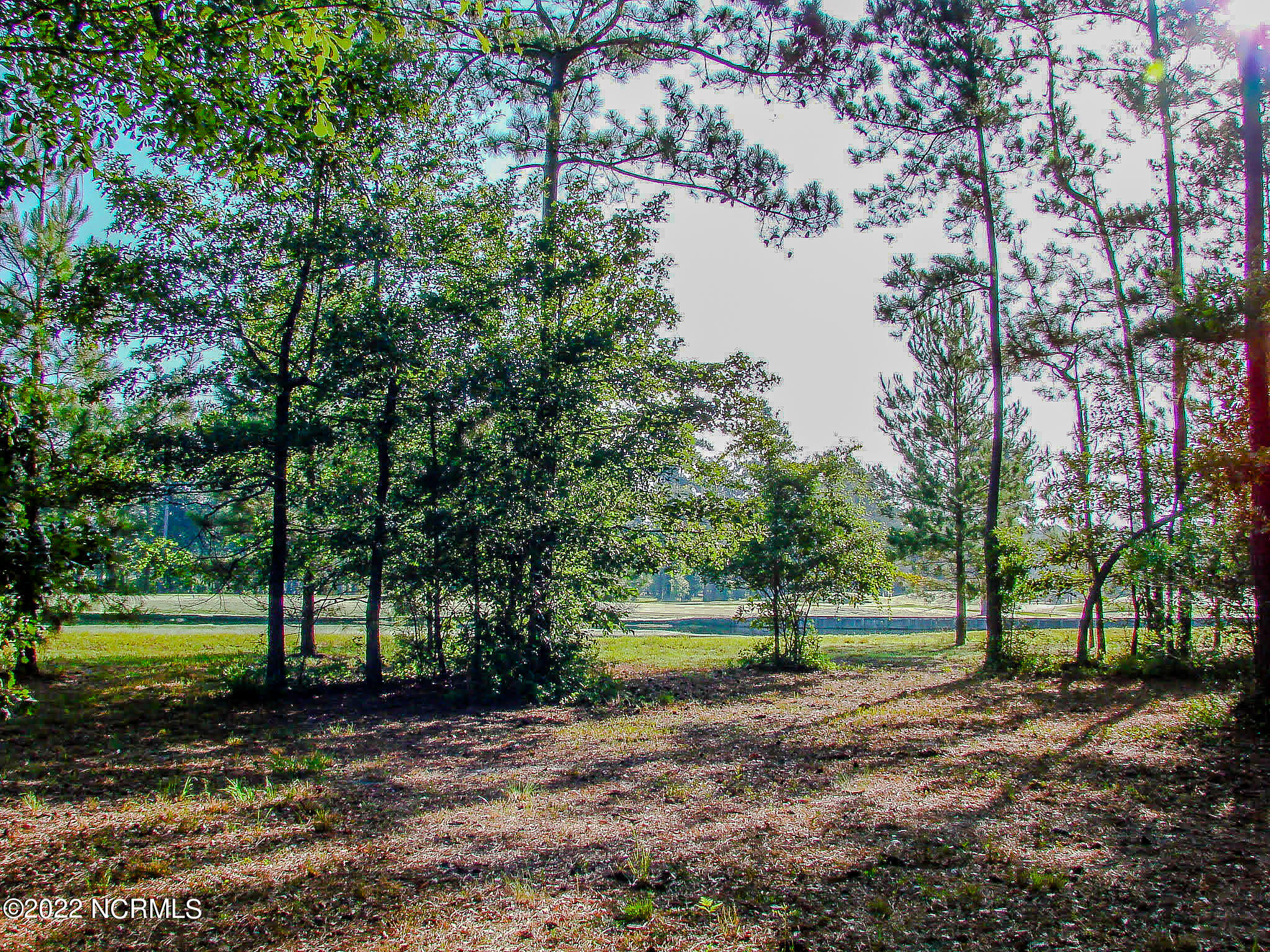 259 Red Fox Run Drive Wallace, NC 28466 - Photo 3 of 6 land 4