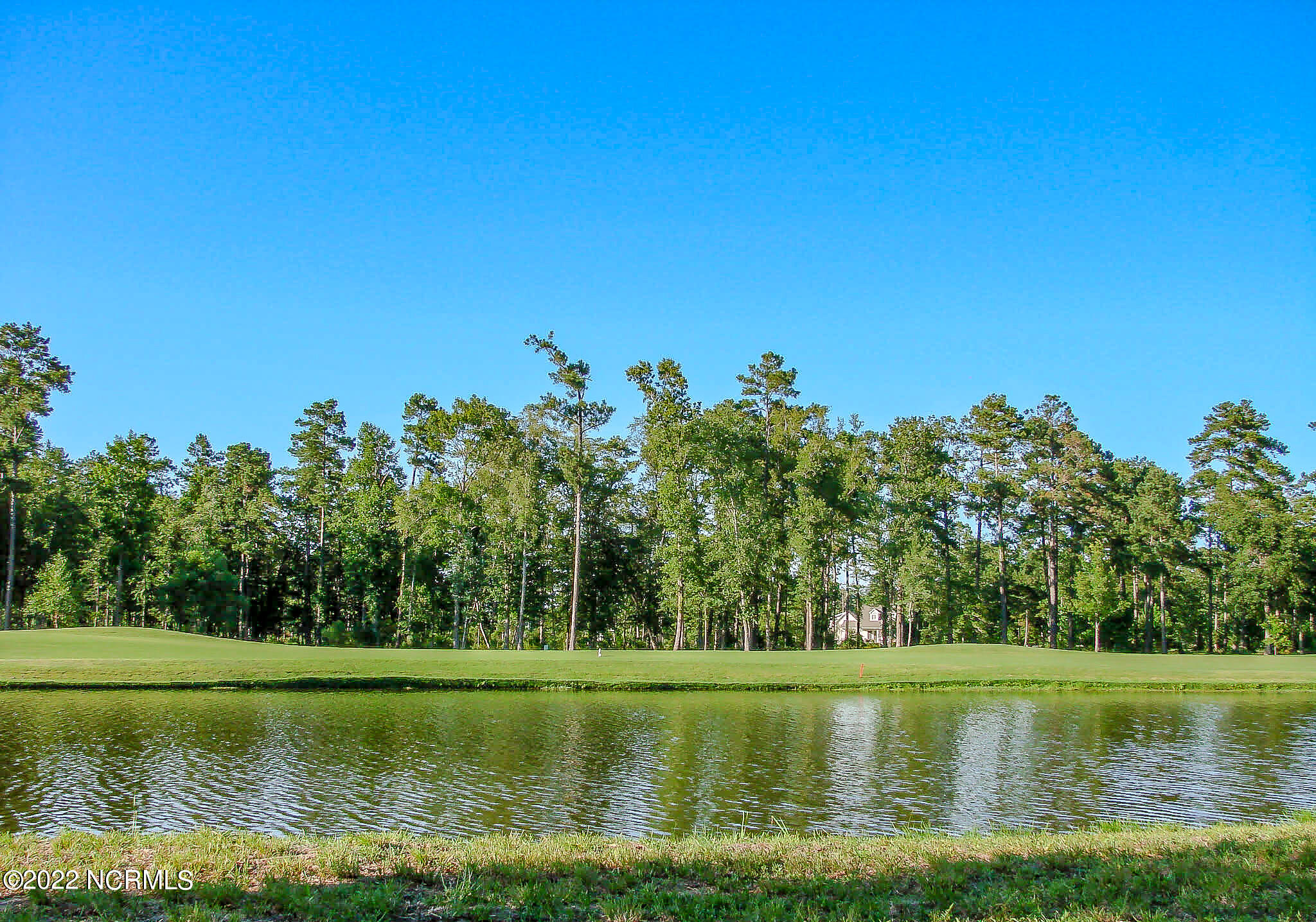 259 Red Fox Run Drive Wallace, NC 28466 - Photo 4 of 6 land 2