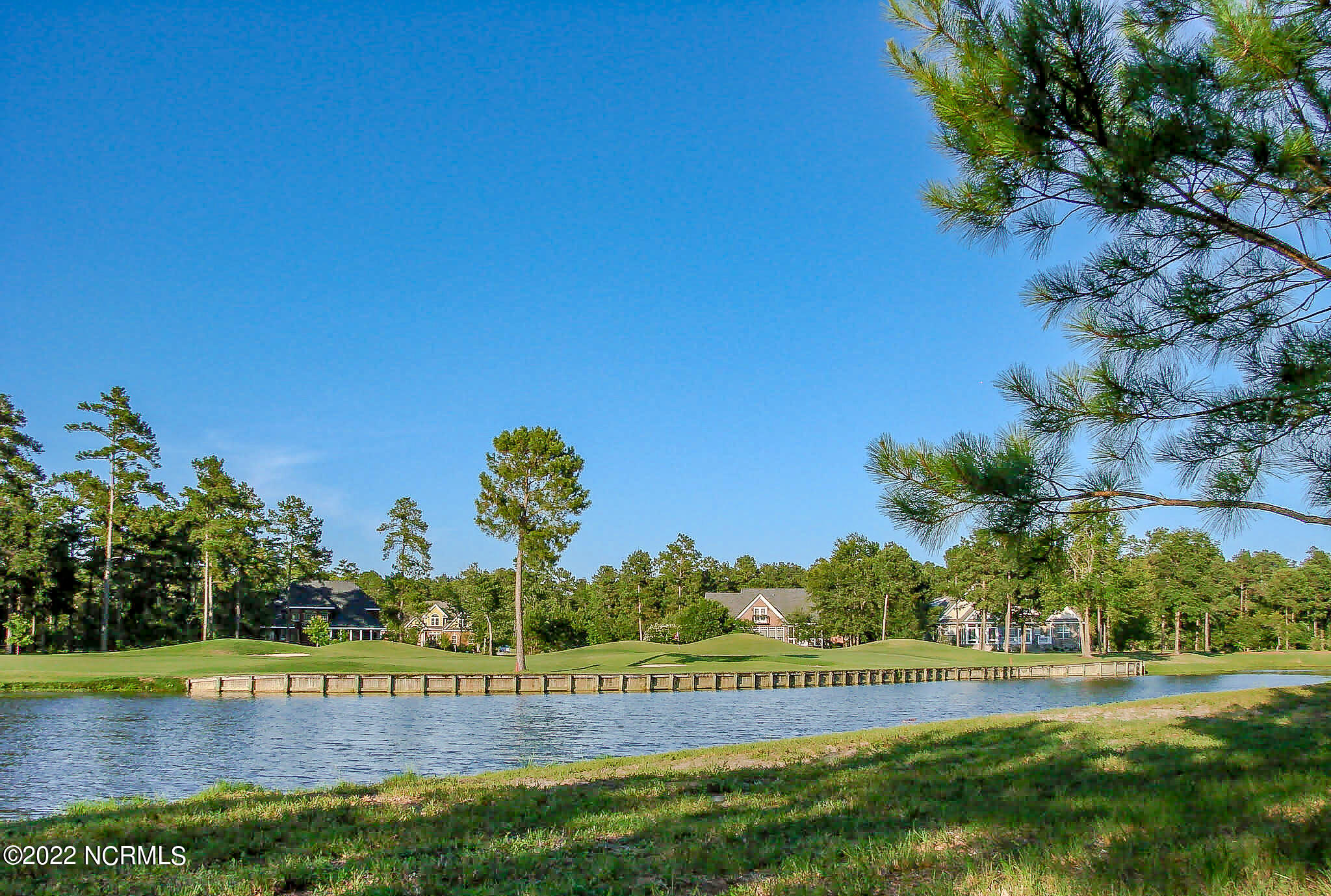 259 Red Fox Run Drive Wallace, NC 28466 - Photo 5 of 6 land 3