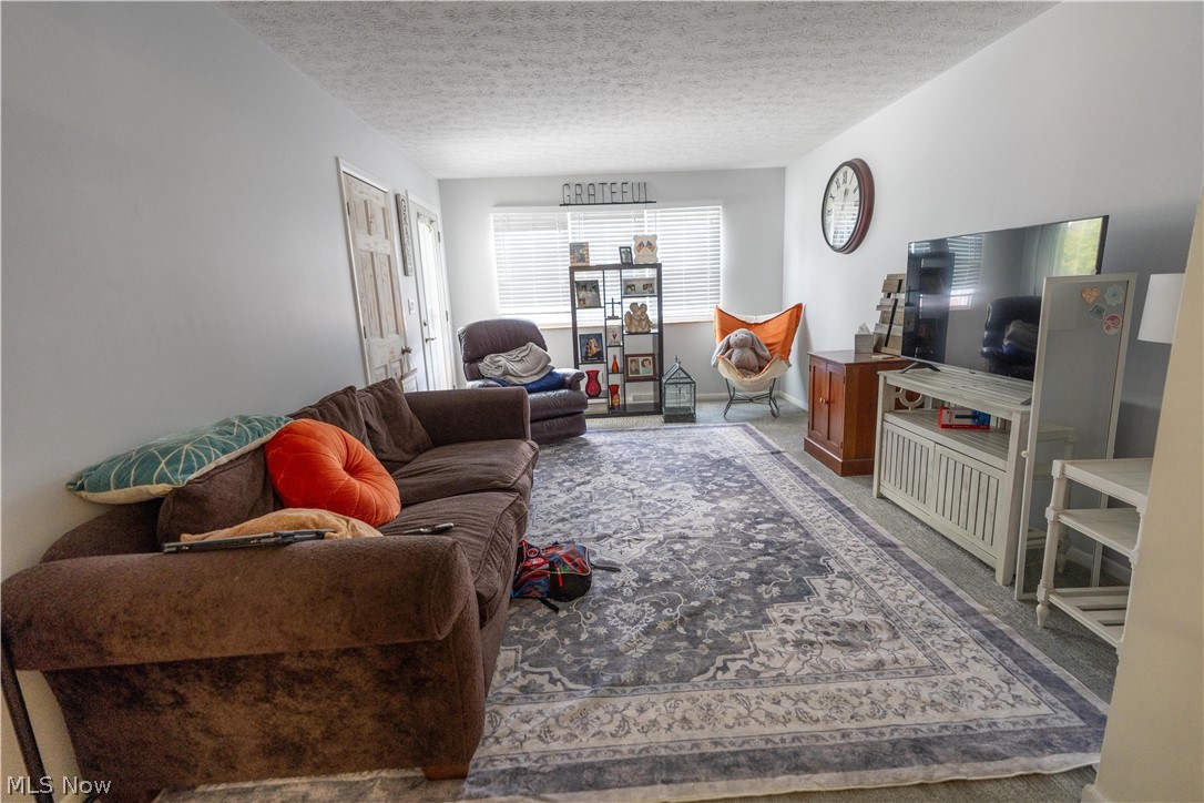 119-121 Swartz Road Akron, OH 44319 - Photo 35 of 48 Gallery Image 35