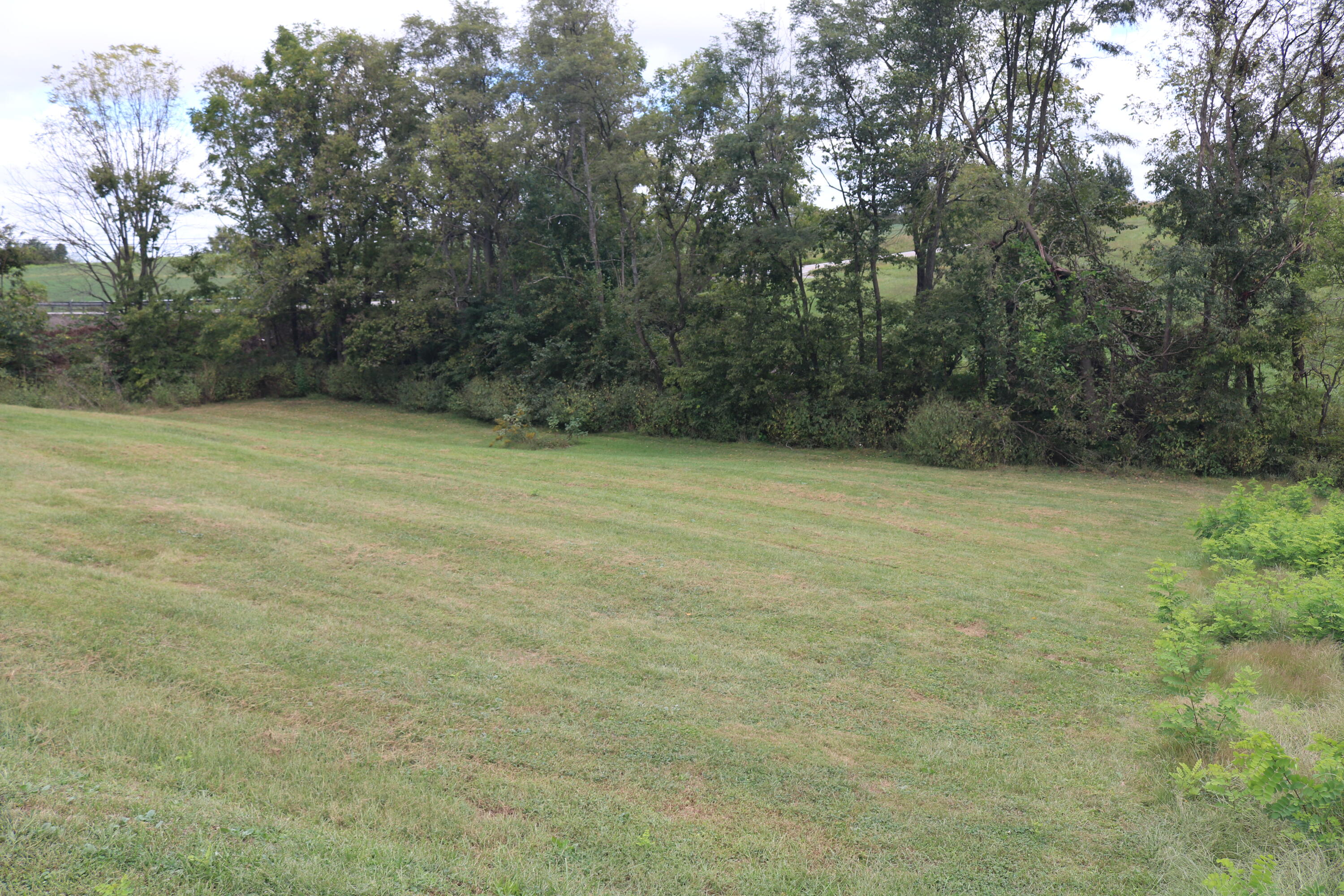 3284 Moorefield Road Carlisle, KY 40311 - Photo 5 of 22 IMG_8130