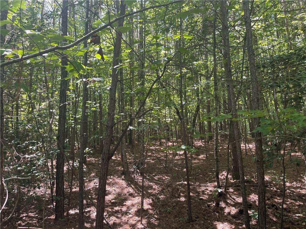 0 Salem Church Road Jasper, GA 30143 - Photo 6 of 11