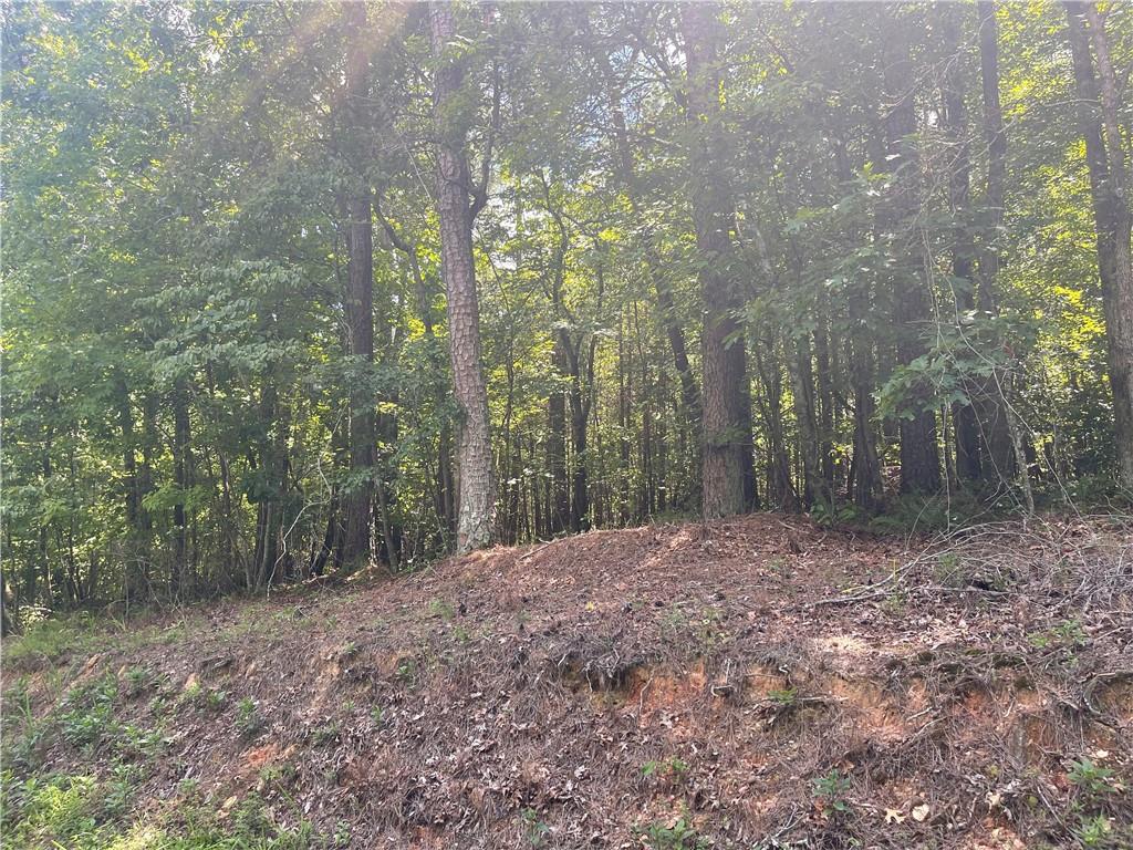 0 Salem Church Road Jasper, GA 30143 - Photo 10 of 11