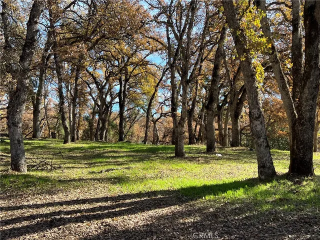 a view of a park with trees