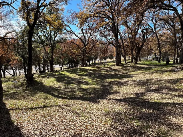 a view of a yard with trees