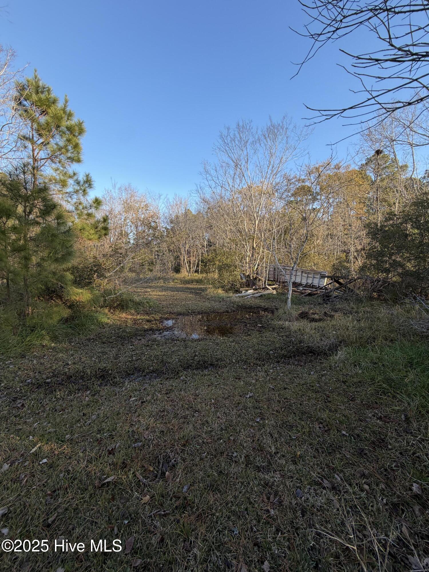 1730 Old Pamlico Beach Road West Belhaven, NC 27810 - Photo 7 of 10 IMG_9085