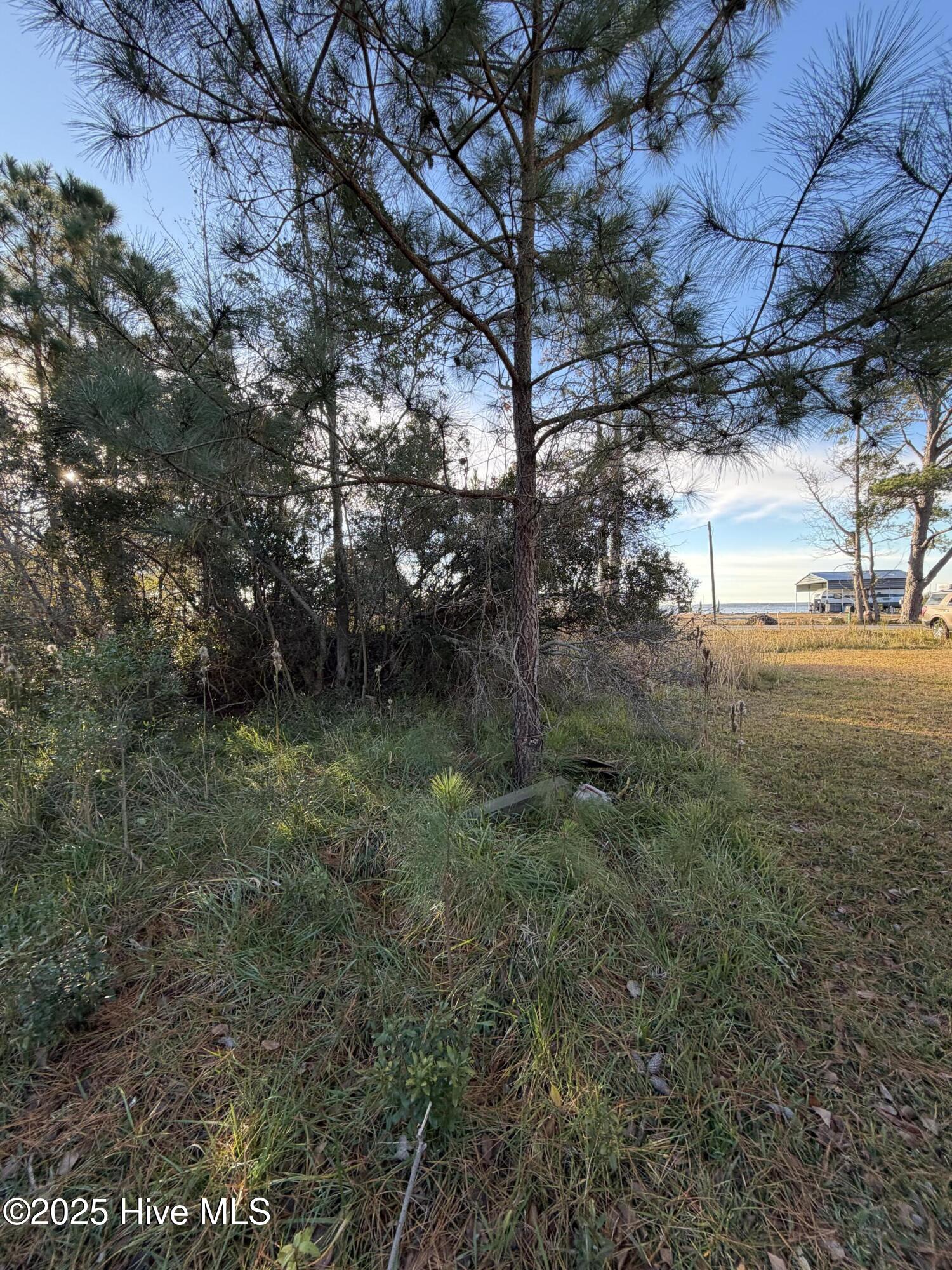 1730 Old Pamlico Beach Road West Belhaven, NC 27810 - Photo 8 of 10 IMG_9086