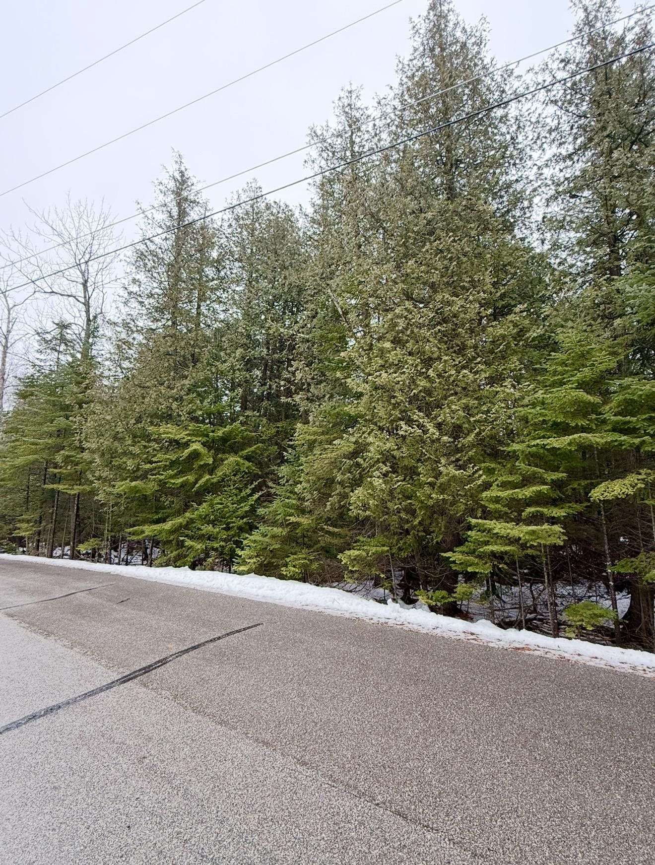 Larson Lane Ephraim, WI 54211 - Photo 5 of 8