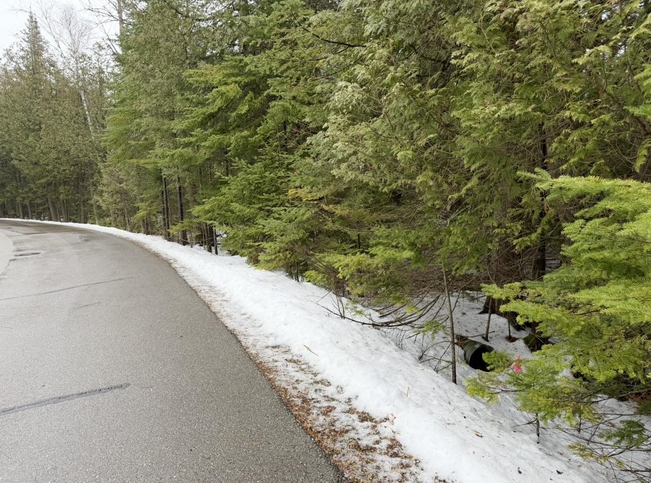 Larson Lane Ephraim, WI 54211 - Photo 6 of 8