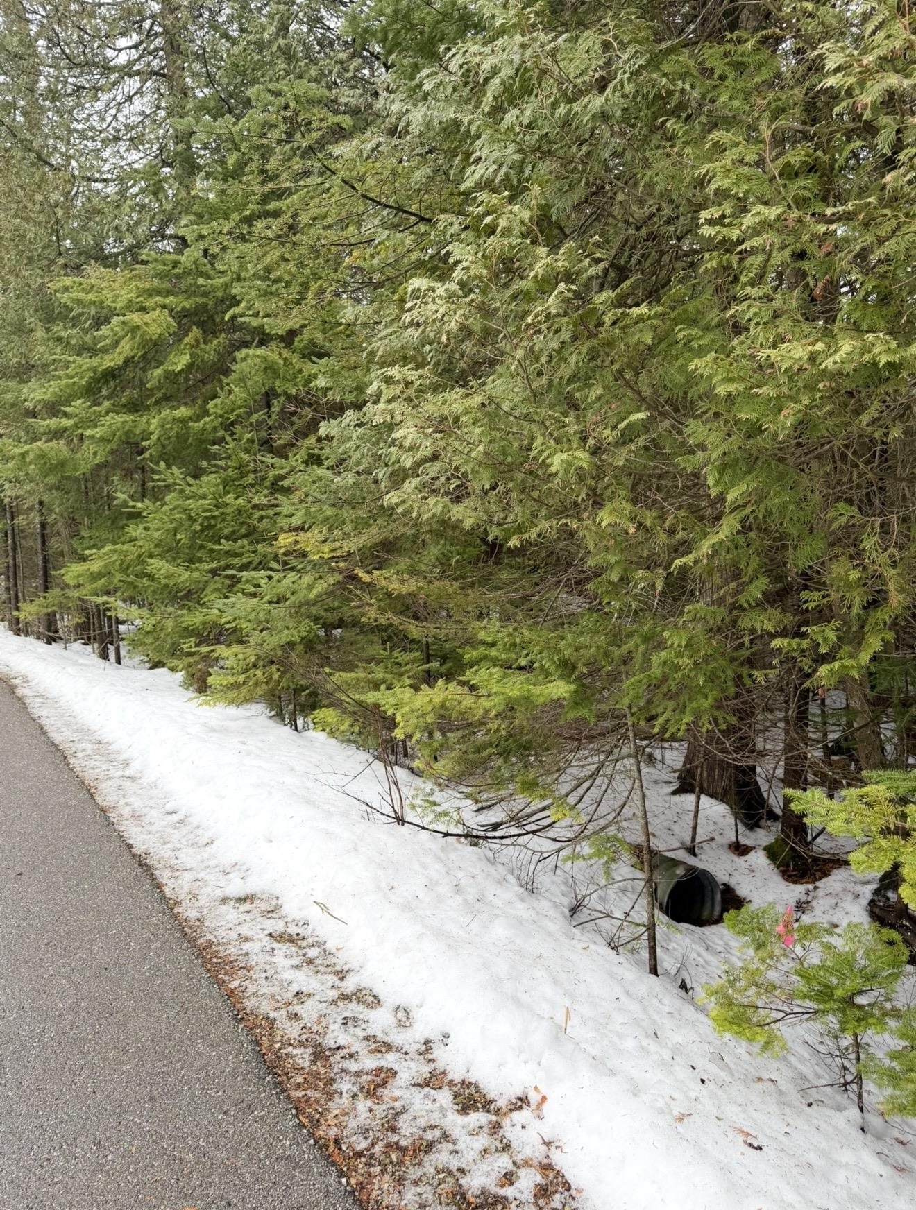 Larson Lane Ephraim, WI 54211 - Photo 7 of 8