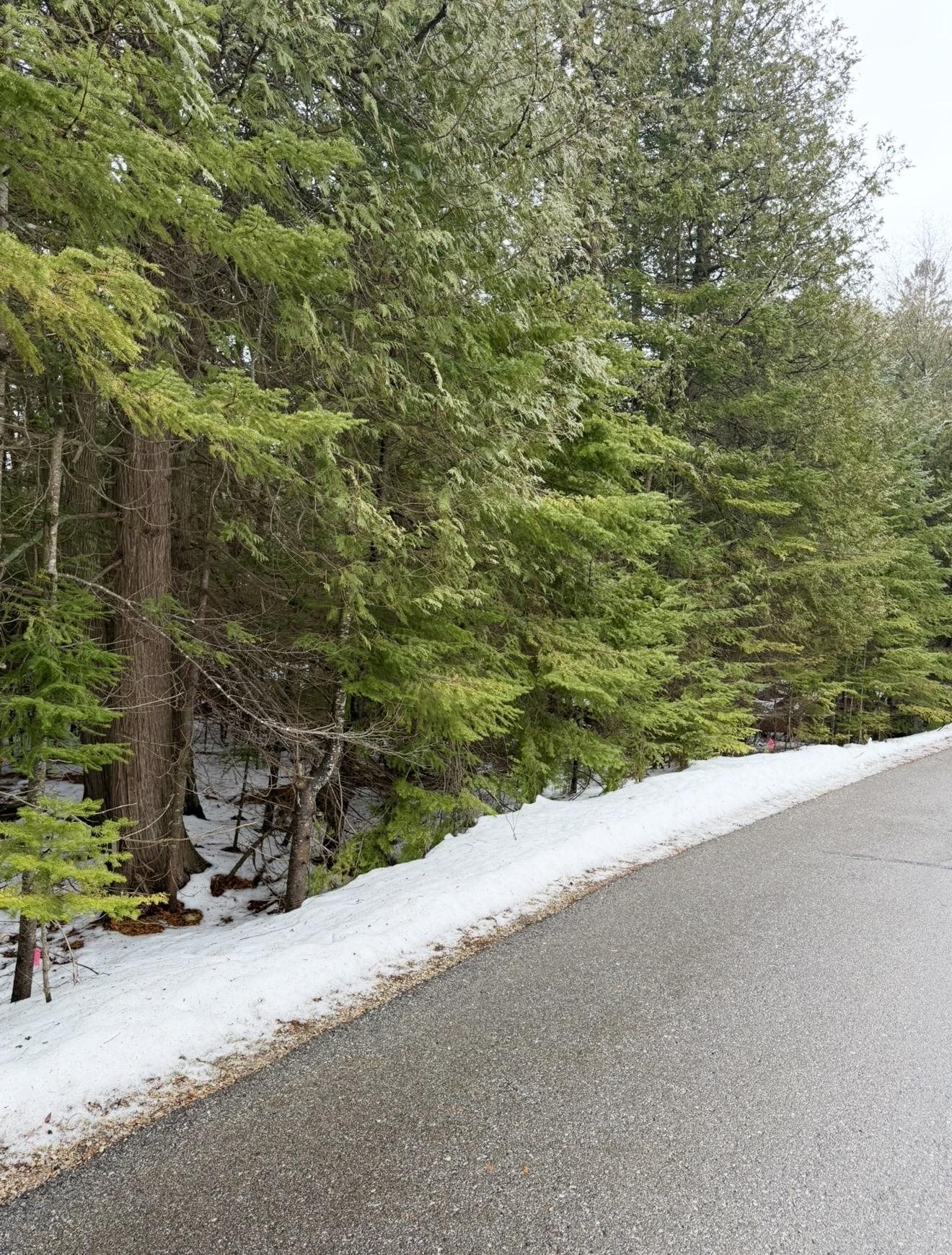 Larson Lane Ephraim, WI 54211 - Photo 8 of 8