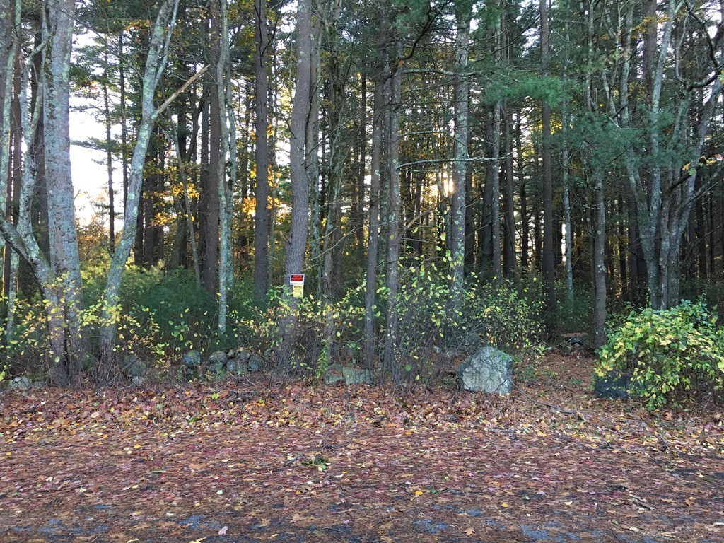 0 Laurel Road Weston, MA 02493 - Photo 2 of 5 a backyard of a house with lots of green space