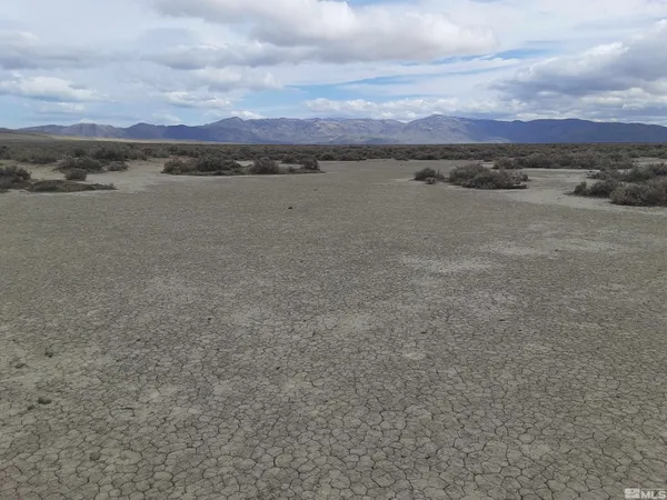 an aerial view of ocean and trees