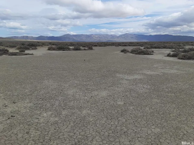 an aerial view of ocean and trees