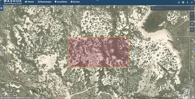 a bathroom with a shower curtain and a bathtub