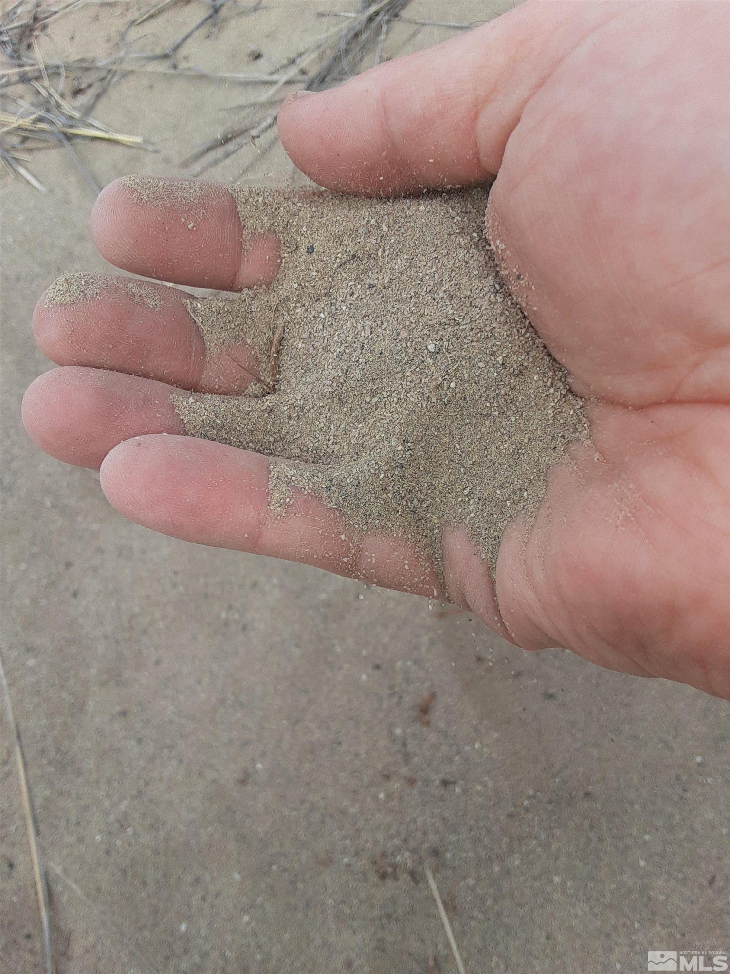 Apn Apn 7420133rd Reno, NV 89510 - Photo 6 of 7 a front view of a house with a yard