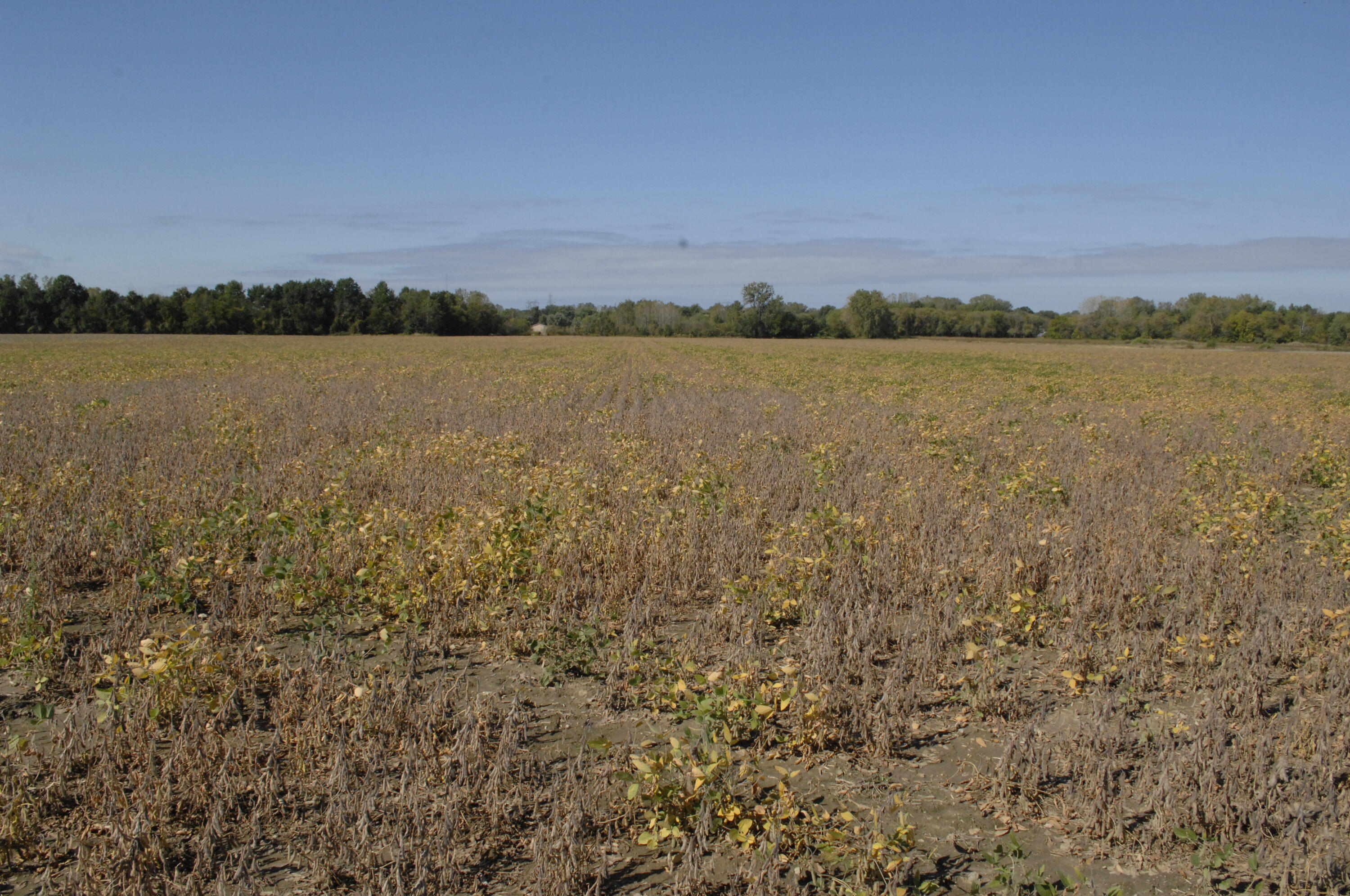 Holden Road Baroda, MI 49101 - Photo 6 of 13 _D2X0929
