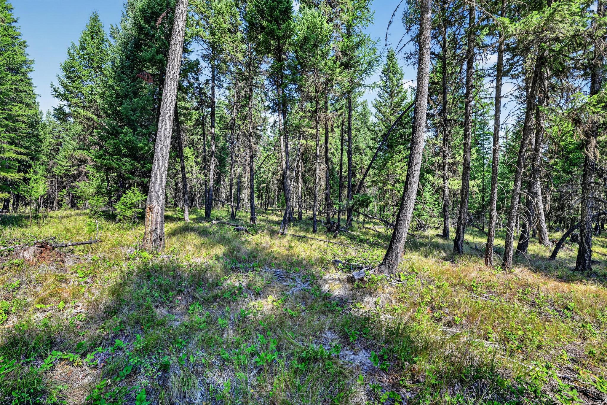 Lot 1 Forest Ridge Road Eureka, MT 59917 - Photo 17 of 19 Gallery Image 17