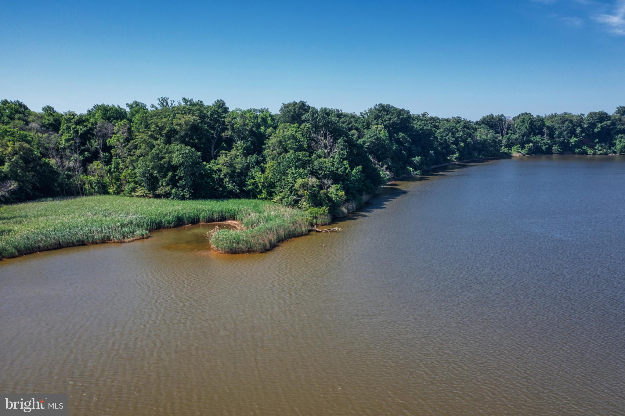 Knight Island Road Earleville, MD 21919 - Photo 8 of 10 Gallery Image 8